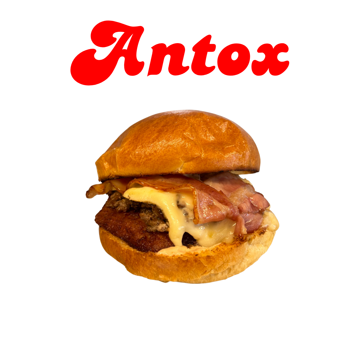 Burger ANTOX